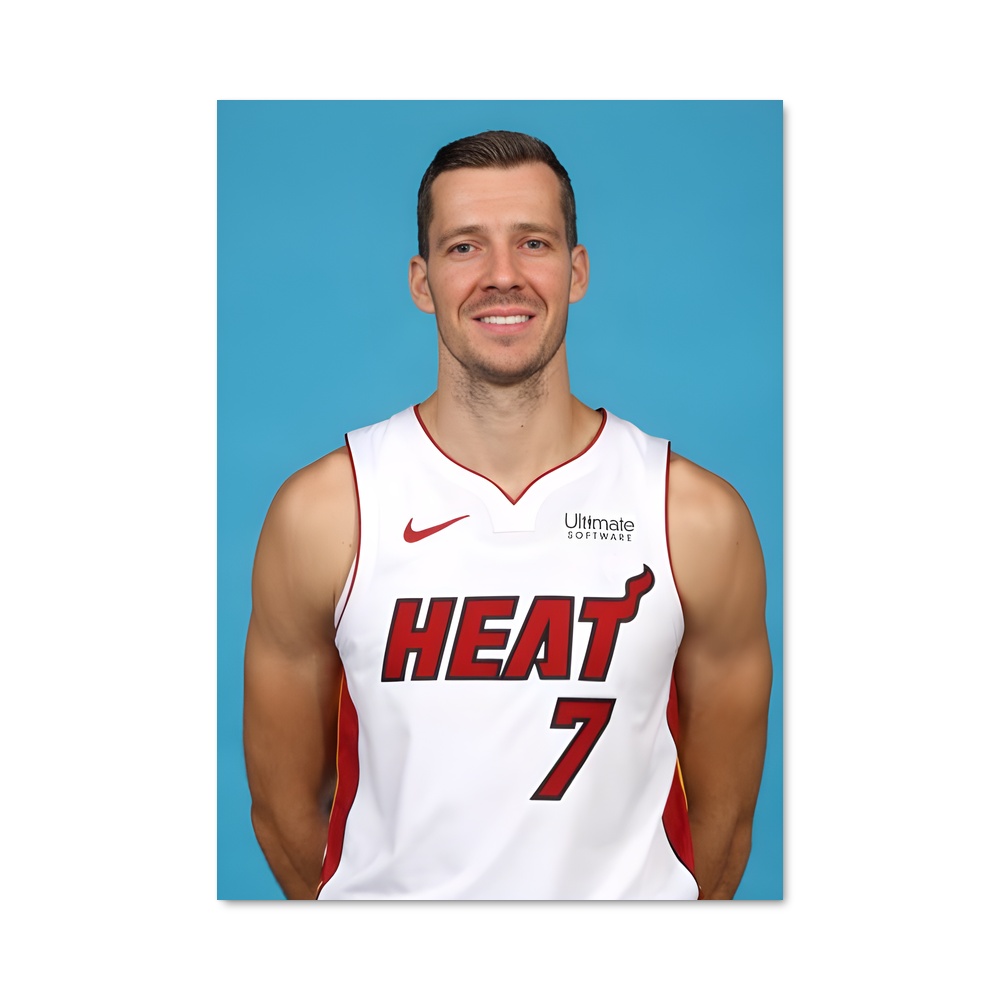 Poster Goran dragic